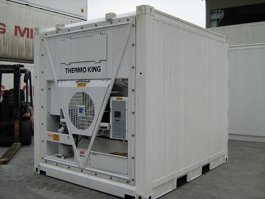 10 x 8 x 8½ ft -Type Reefer - Thermoking Engine